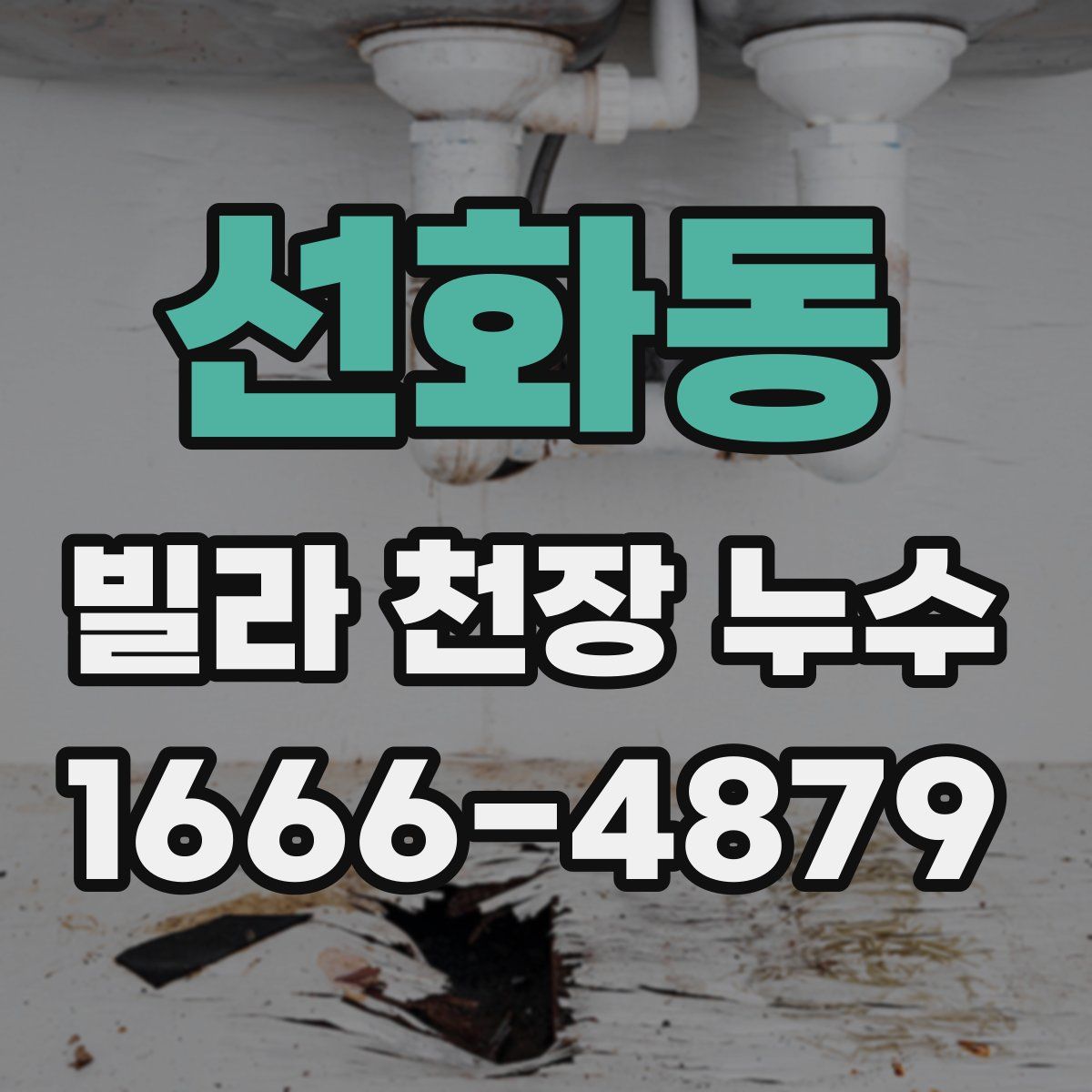선화동 빌라 천장 누수