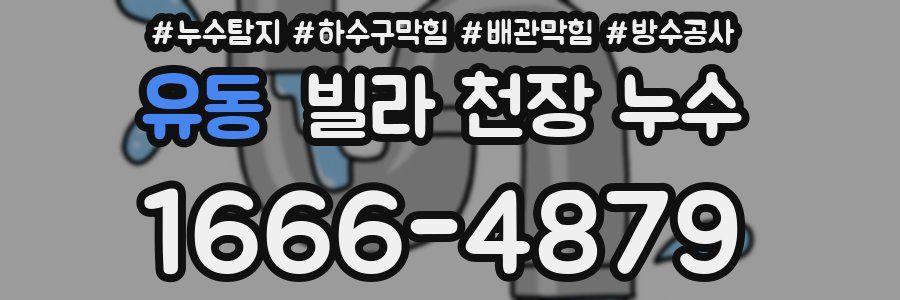 유동 빌라 천장 누수