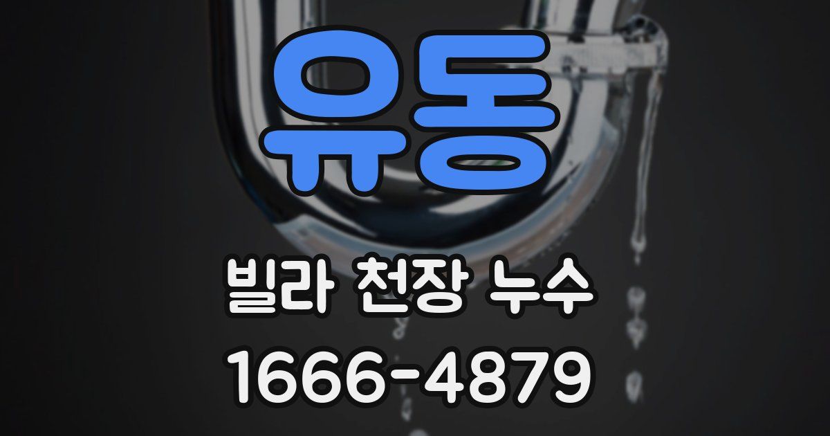 유동 빌라 천장 누수