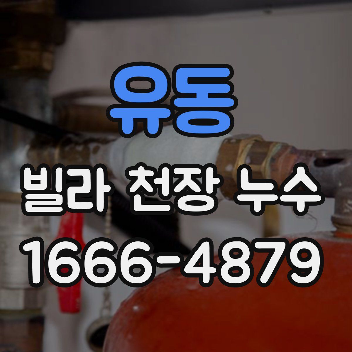 유동 빌라 천장 누수