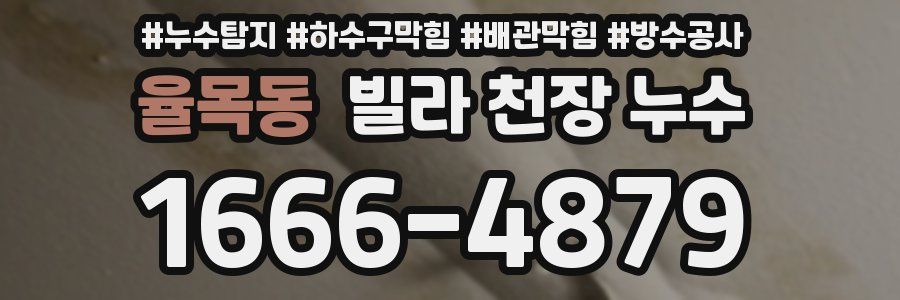 율목동 빌라 천장 누수