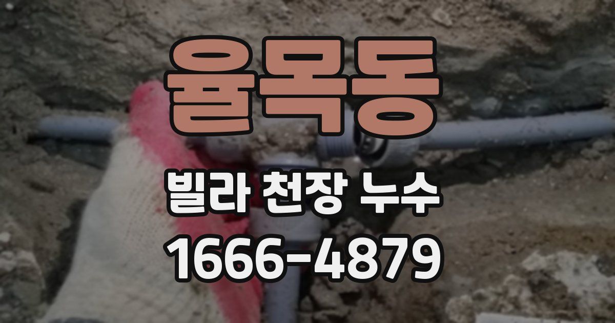 율목동 빌라 천장 누수