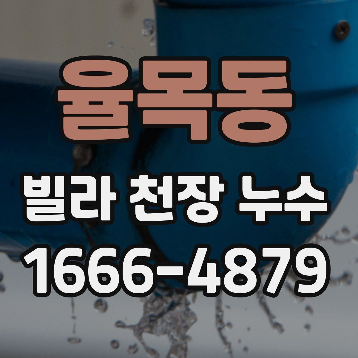 율목동 빌라 천장 누수