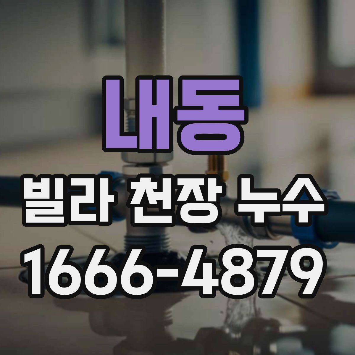 내동 빌라 천장 누수