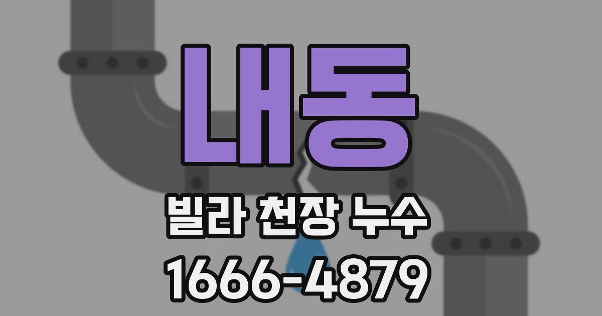 내동 빌라 천장 누수