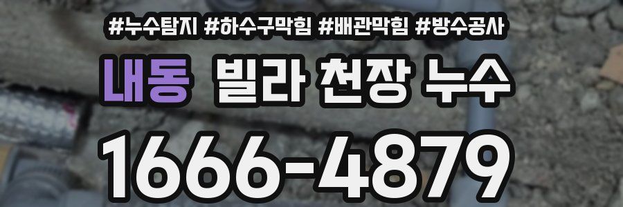 내동 빌라 천장 누수