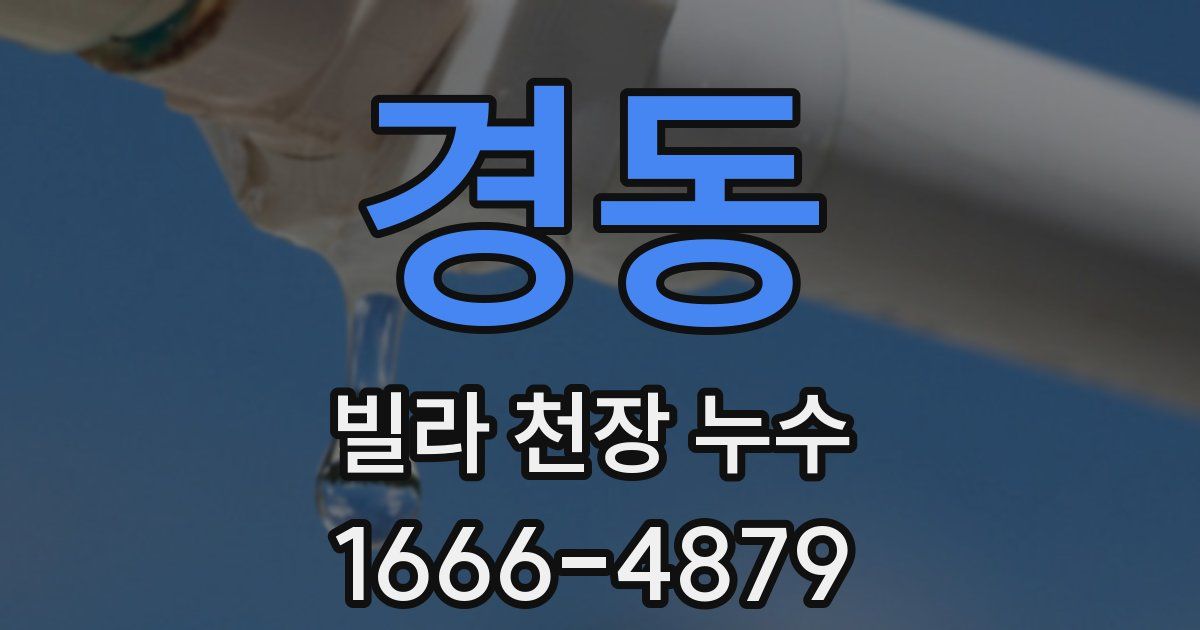 경동 빌라 천장 누수