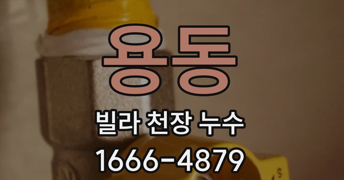 용동 빌라 천장 누수