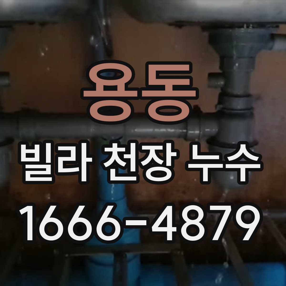 용동 빌라 천장 누수