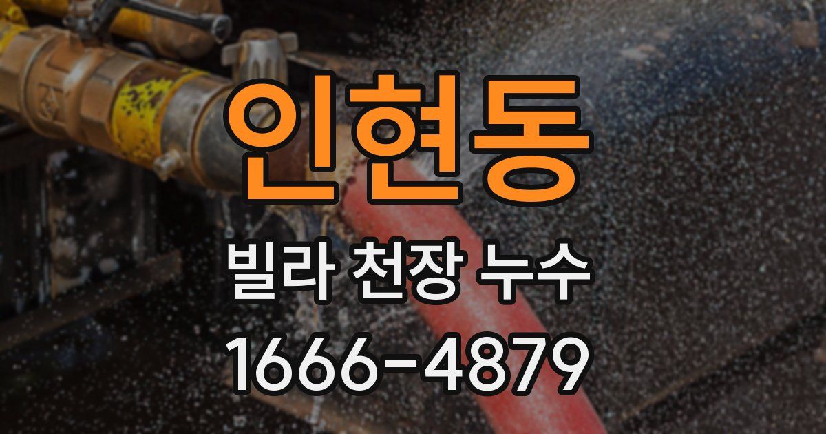 인현동 빌라 천장 누수