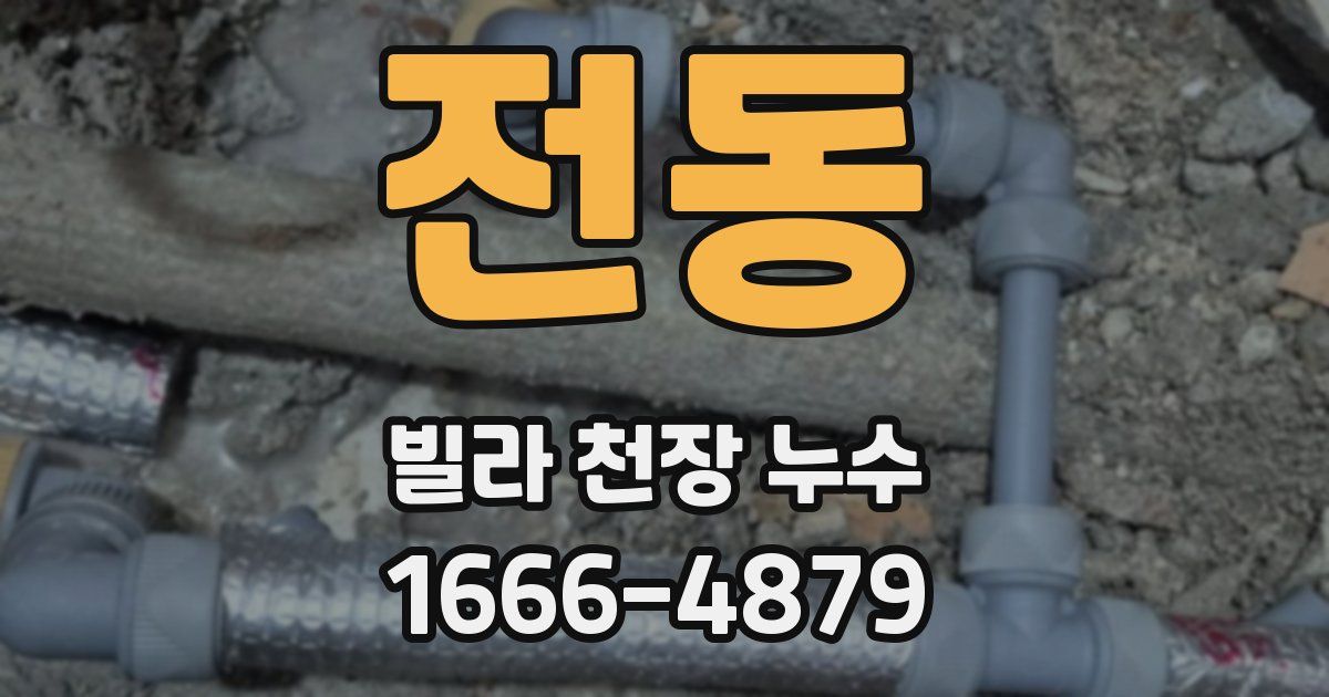 전동 빌라 천장 누수