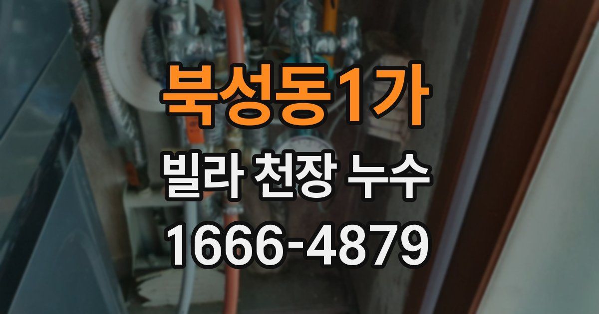북성동1가 빌라 천장 누수