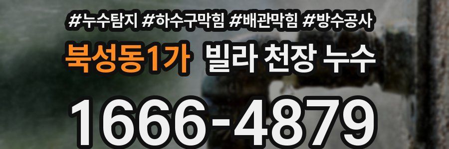 북성동1가 빌라 천장 누수