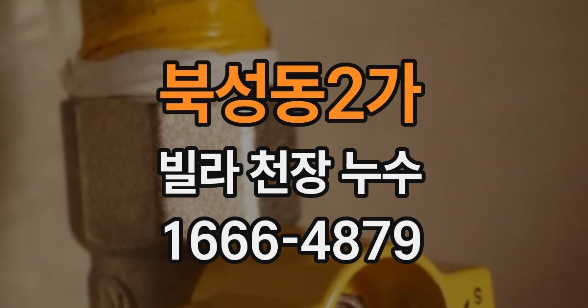 북성동2가 빌라 천장 누수
