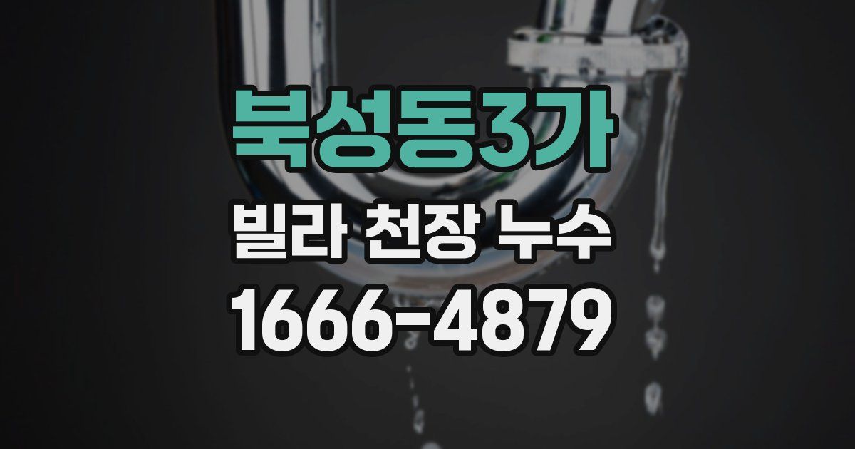 북성동3가 빌라 천장 누수