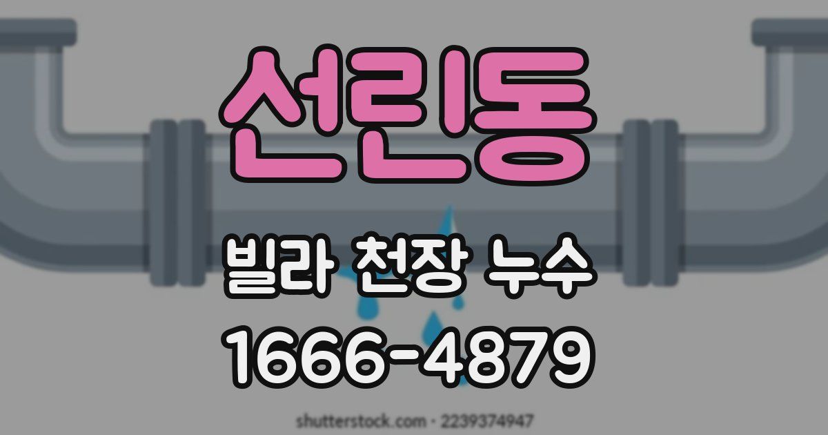 선린동 빌라 천장 누수
