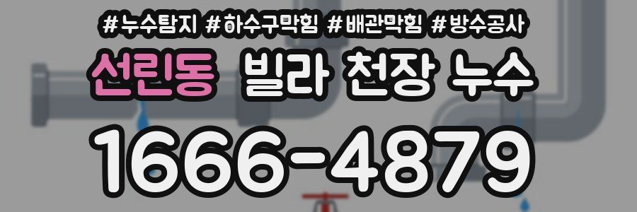선린동 빌라 천장 누수