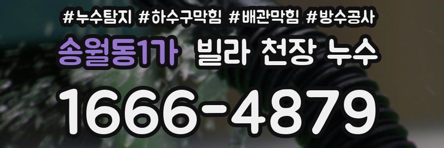 송월동1가 빌라 천장 누수