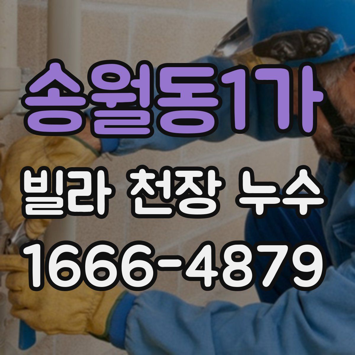 송월동1가 빌라 천장 누수