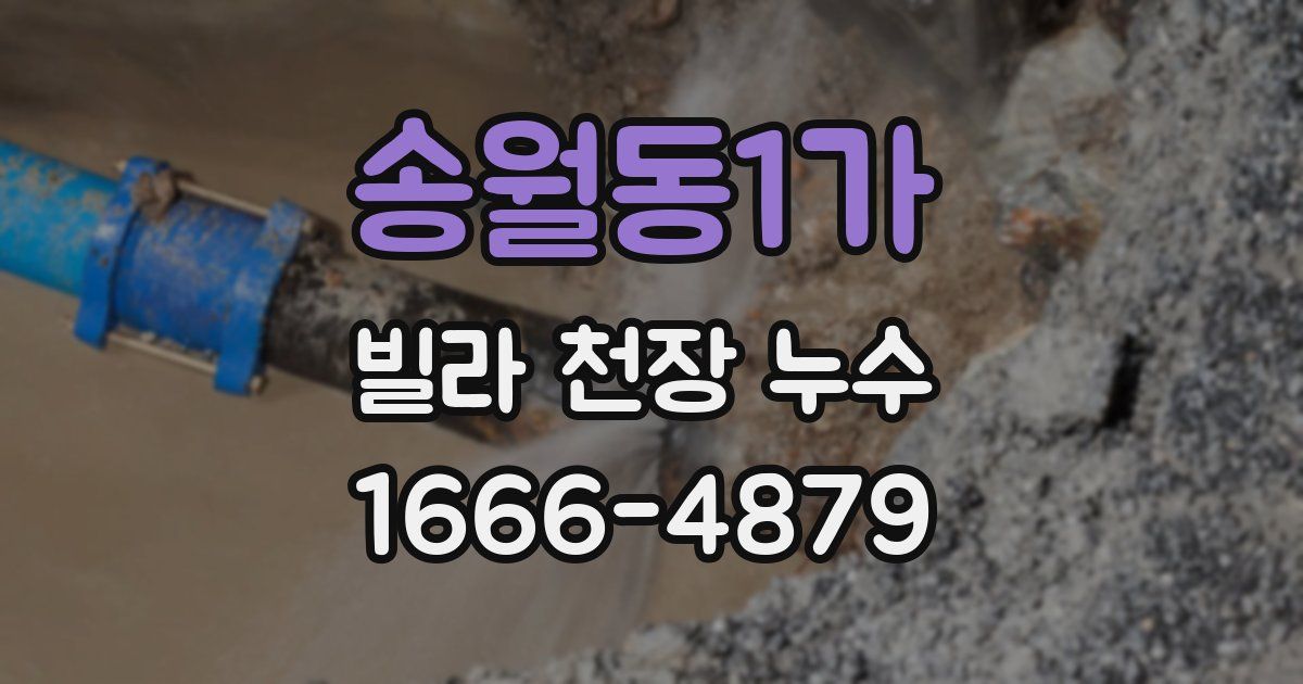 송월동1가 빌라 천장 누수