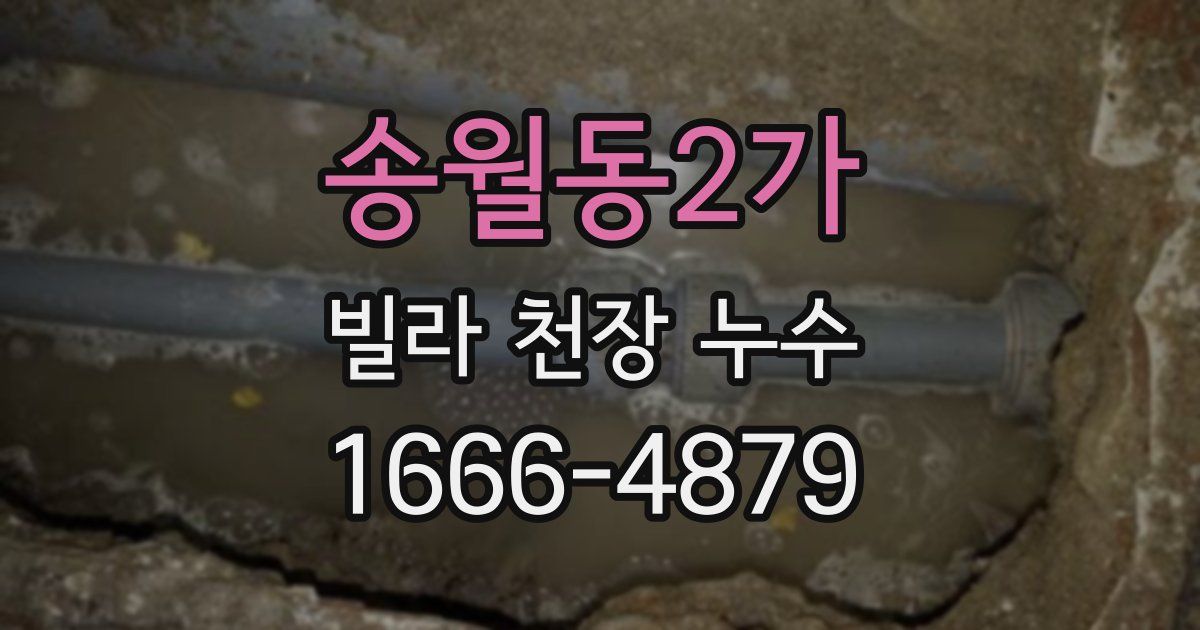 송월동2가 빌라 천장 누수