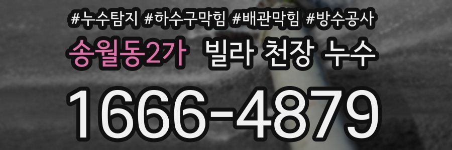 송월동2가 빌라 천장 누수