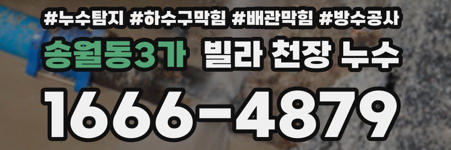 송월동3가 빌라 천장 누수
