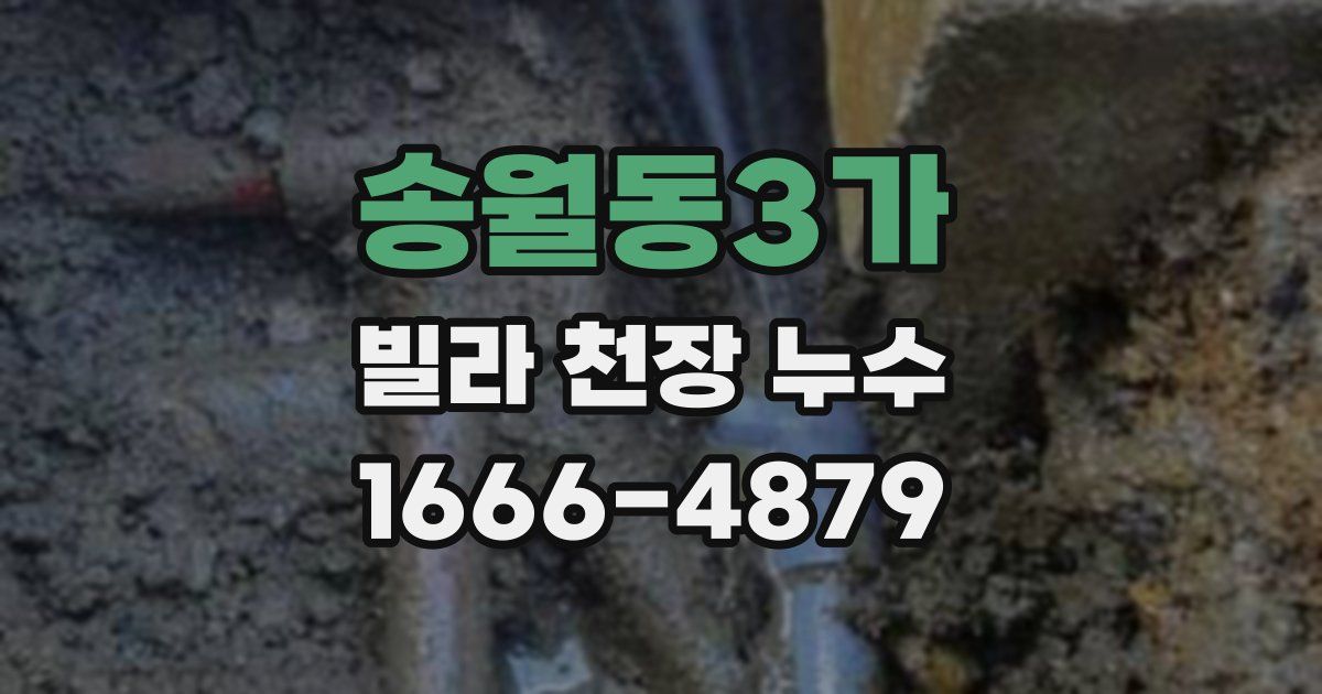 송월동3가 빌라 천장 누수