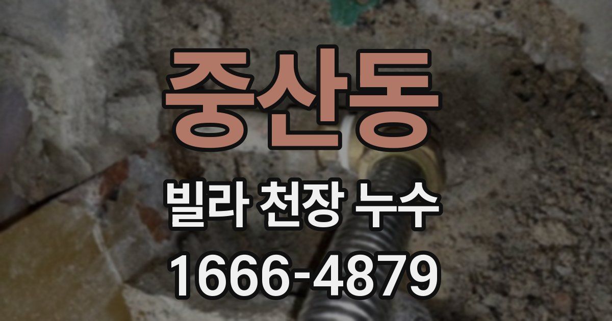 중산동 빌라 천장 누수