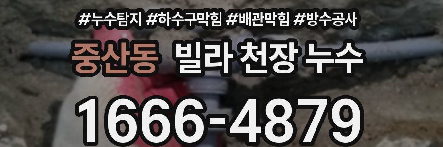 중산동 빌라 천장 누수