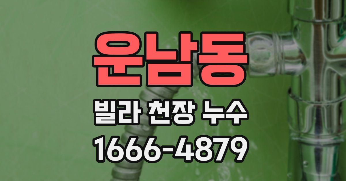 운남동 빌라 천장 누수