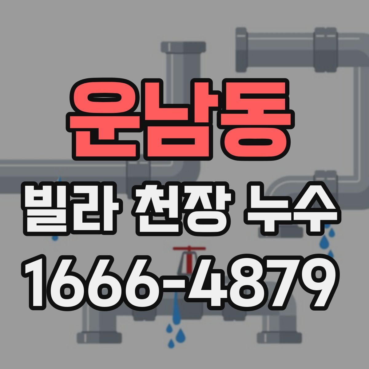 운남동 빌라 천장 누수