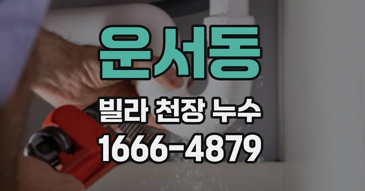 운서동 빌라 천장 누수
