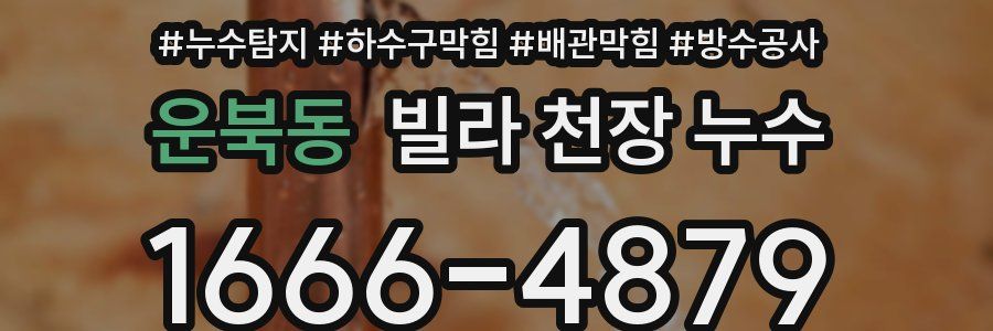 운북동 빌라 천장 누수