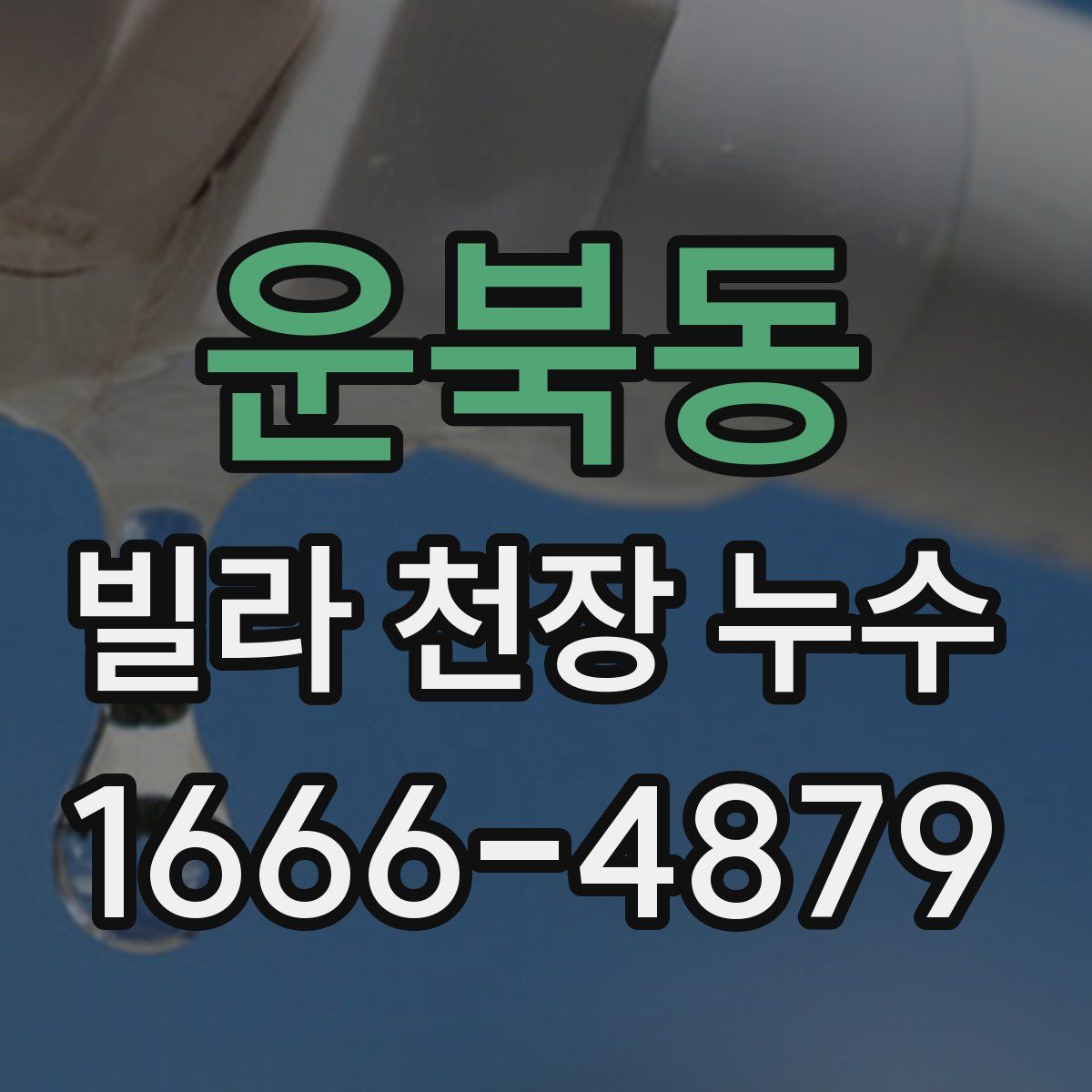운북동 빌라 천장 누수