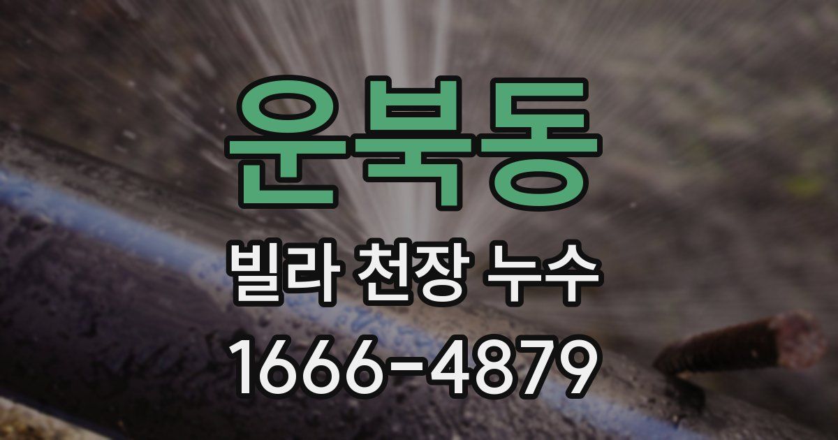 운북동 빌라 천장 누수