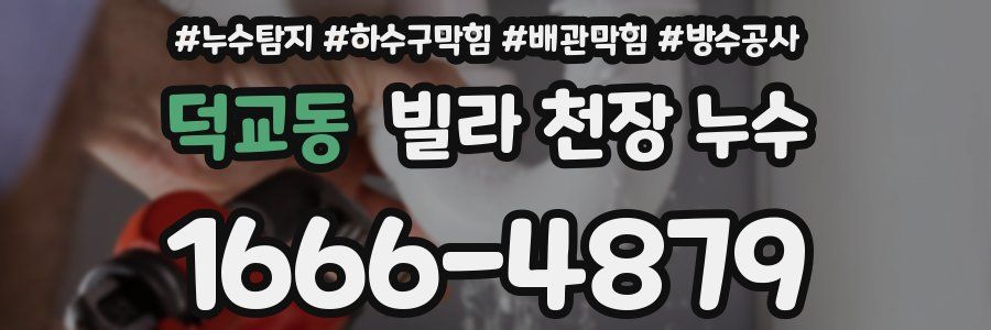 덕교동 빌라 천장 누수