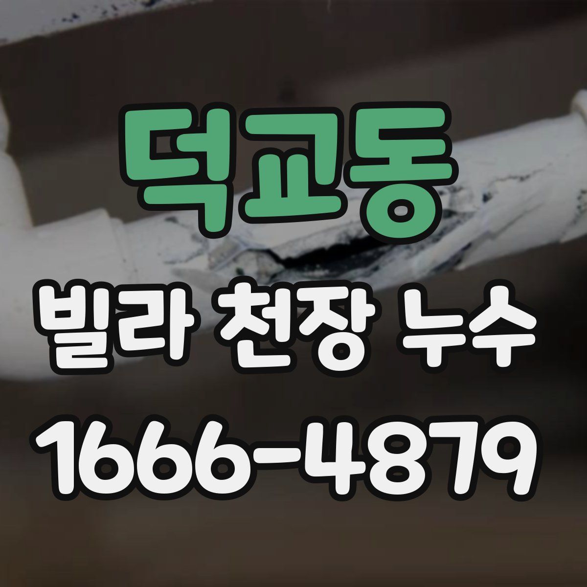덕교동 빌라 천장 누수