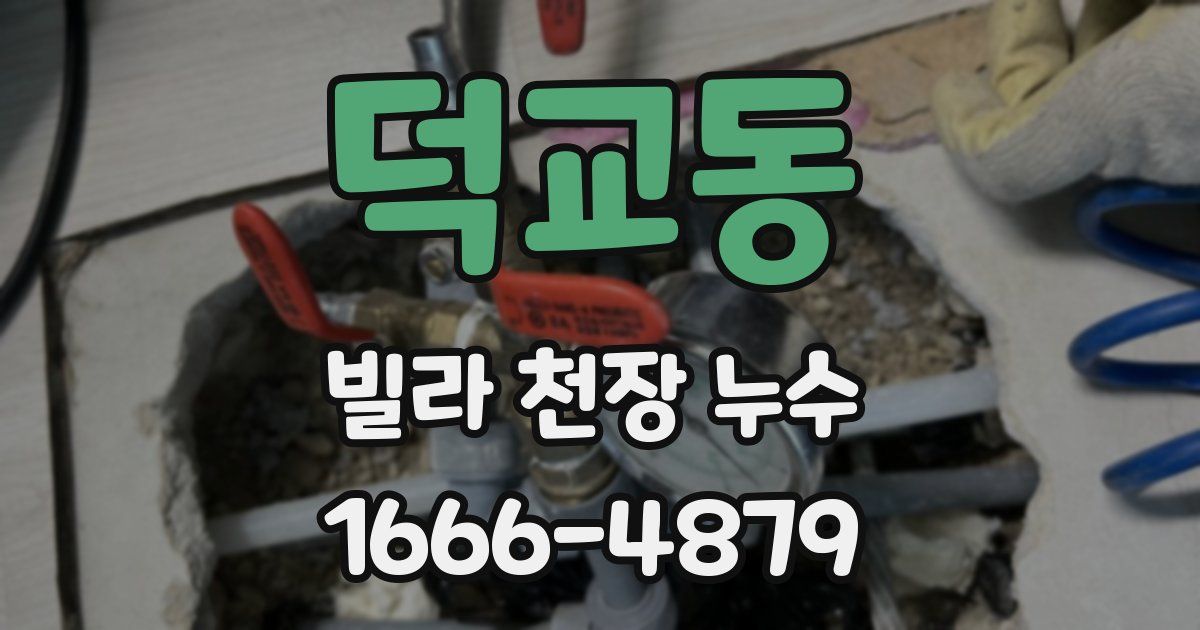 덕교동 빌라 천장 누수