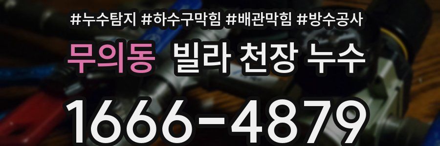 무의동 빌라 천장 누수