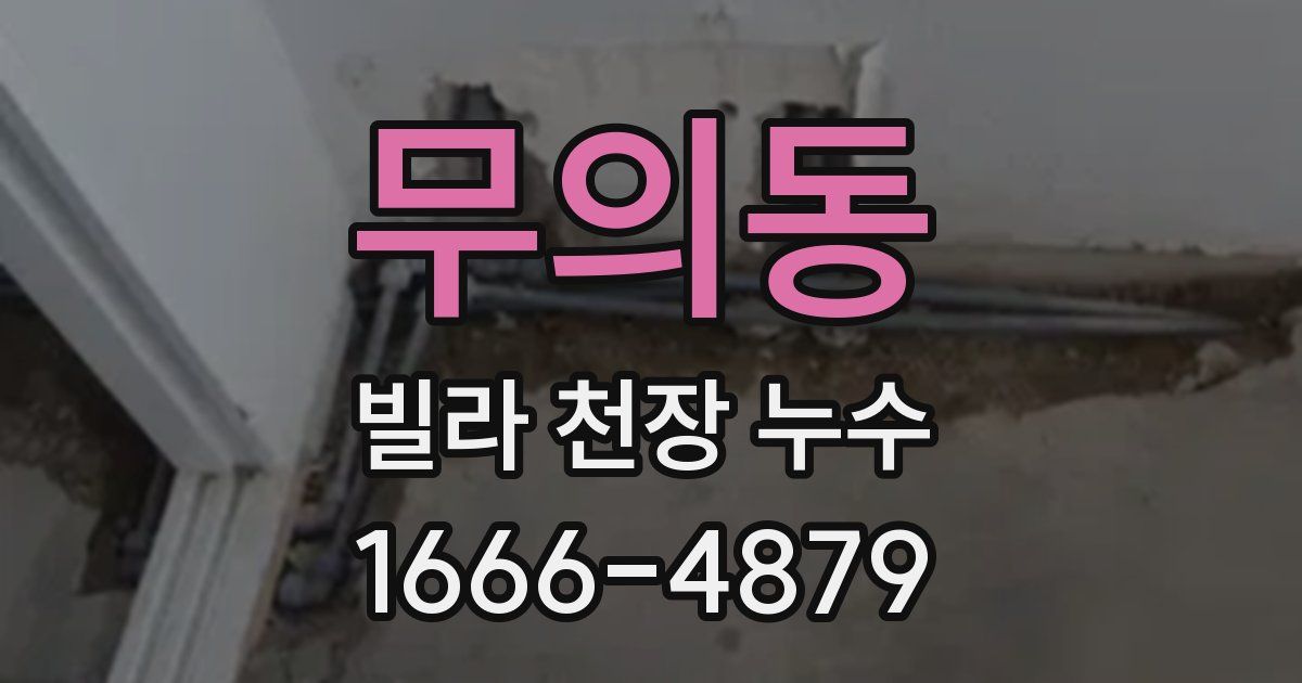 무의동 빌라 천장 누수