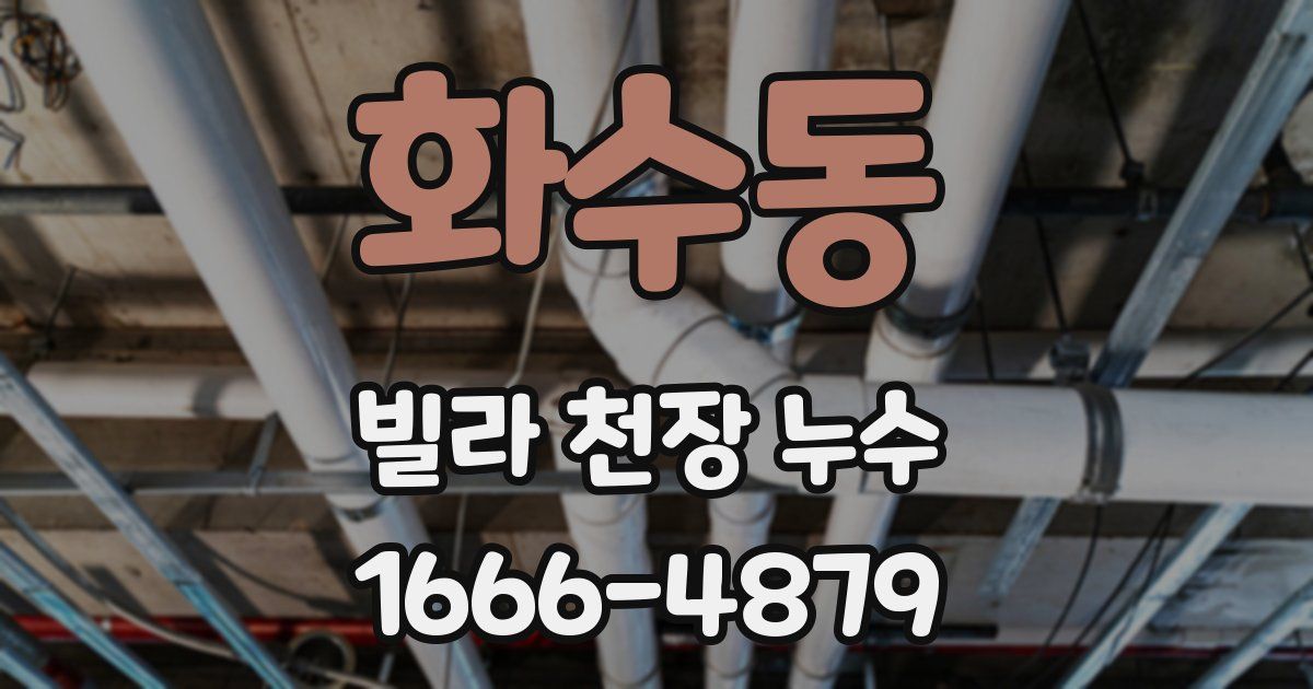 화수동 빌라 천장 누수