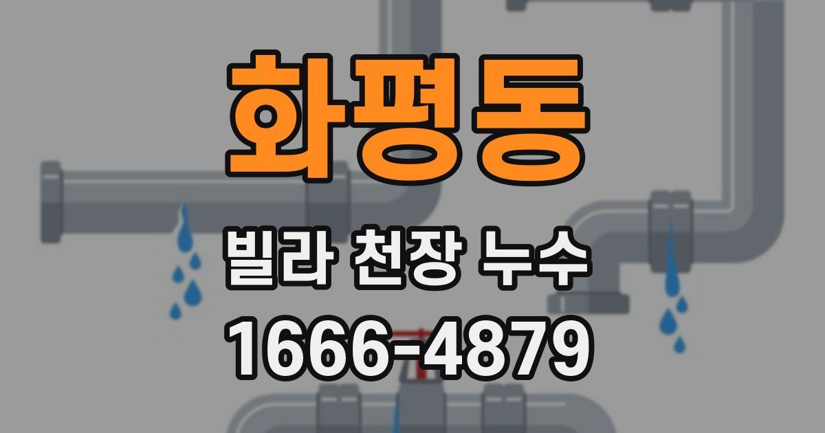 화평동 빌라 천장 누수