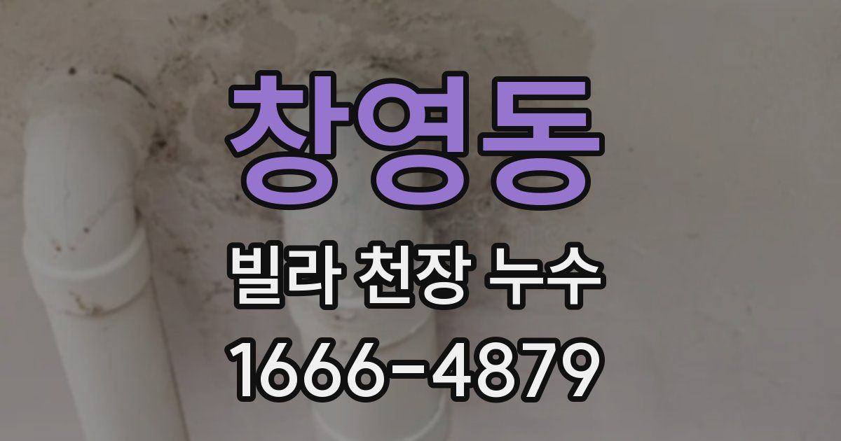 창영동 빌라 천장 누수