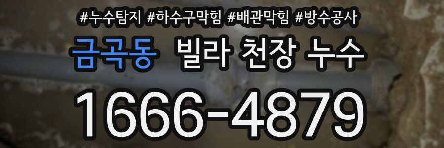 금곡동 빌라 천장 누수