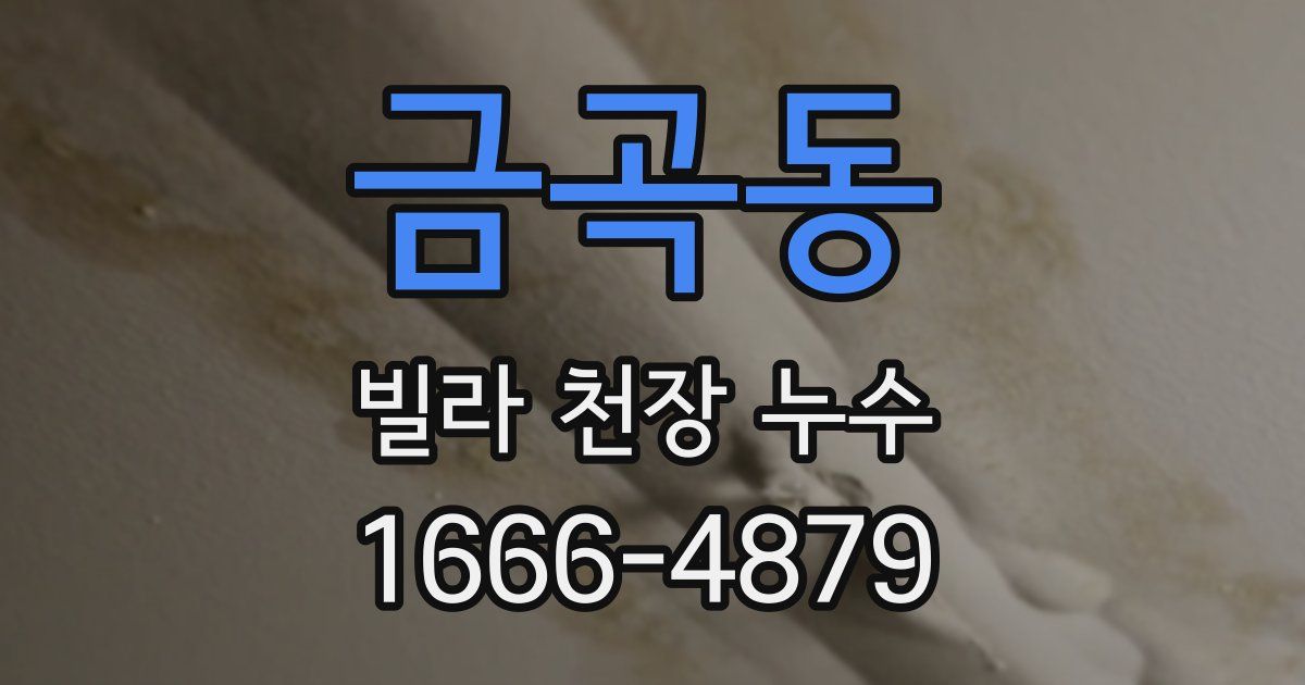 금곡동 빌라 천장 누수