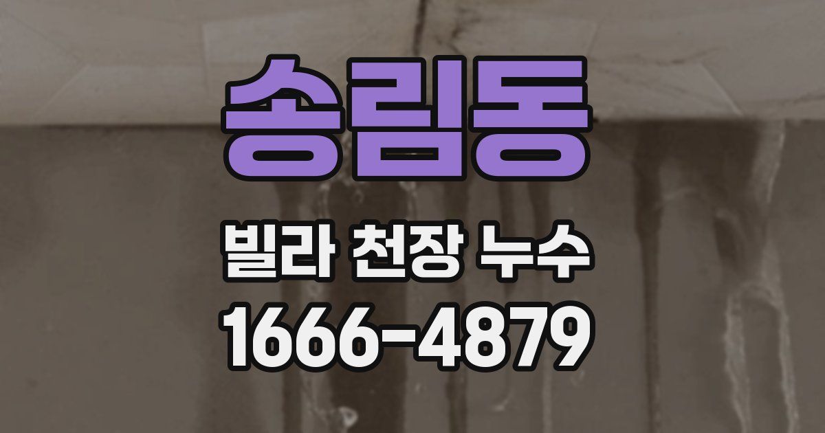 송림동 빌라 천장 누수