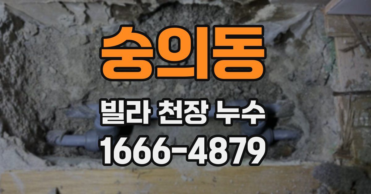 숭의동 빌라 천장 누수