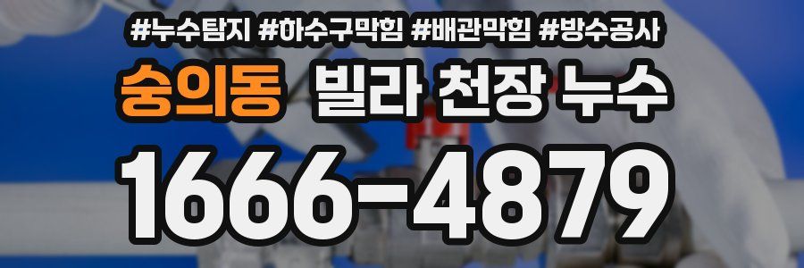 숭의동 빌라 천장 누수