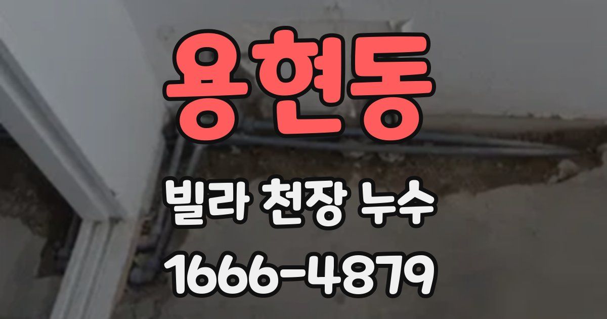 용현동 빌라 천장 누수